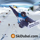 स्कीइंग और दुबई में क्रियाएँ आइकन