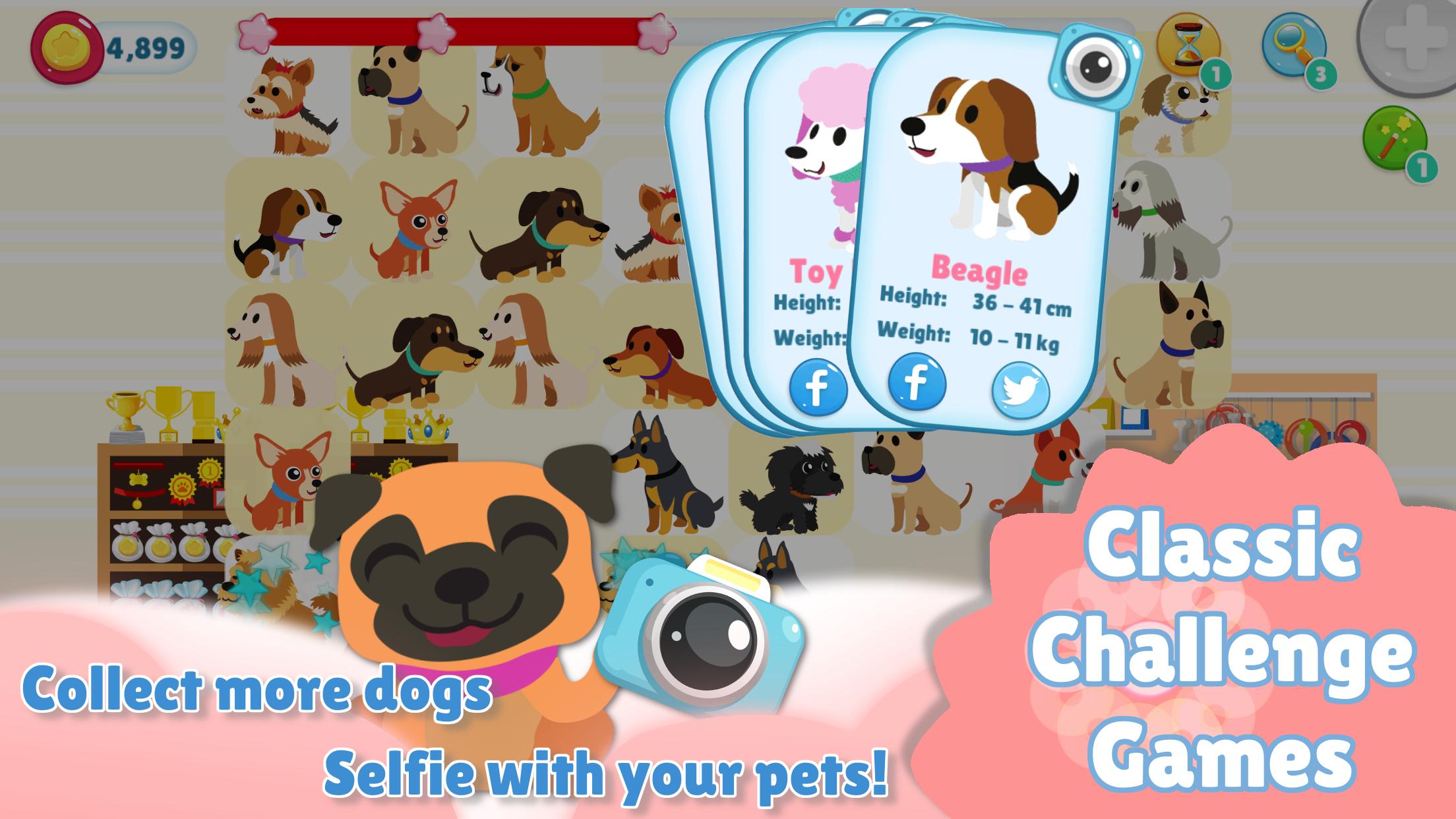 Have has two pets. Игра kawaii Assistant. My friends Pet 2 класс. Говорящий том 2 питомцы. OOO my Dog what's app.