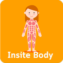 Insite body video APK