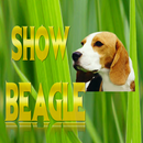 Show Beagle .com APK