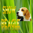 Show Beagle .com icon