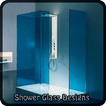 Shower Glass Designs