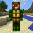 Ninja SuperHero Turtle Craft