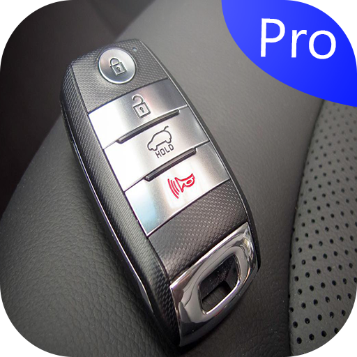 Display Key car