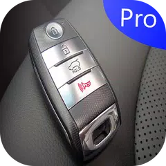 download Display Key car APK