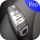 Display Key car