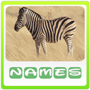 Animals Quiz APK