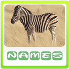 Icona Animals Quiz