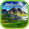 Nature Wallpaper