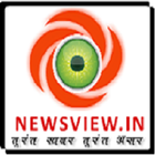 Newsview.in-icoon