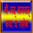 Shri Madh Bhagwat Katha APK