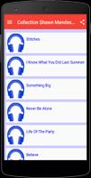 Music Collection Shawn Mendes پوسٹر