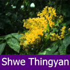 Myanmar Thingyan-icoon
