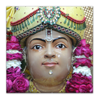Daily Swami ni Vato ícone