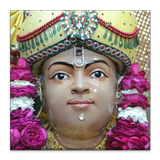 Daily Swami ni Vato icono