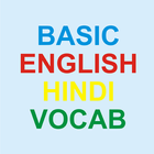 Basic English Hindi Vocab icône