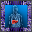 Enlarged Liver Info ícone