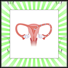 Female Infertility Information icon