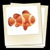 Fishes APK