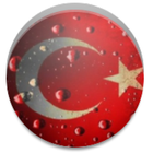 Turkish English (Audio) иконка