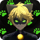 آیکون‌ Miraculous Cat Noir Adventure