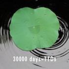 30000days icon