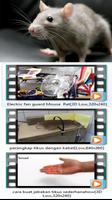 Video Perangkap Ikan tikus dan Hama Poster