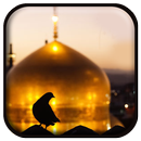 پخش زنده حرم امام رضا (ع) APK