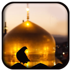 پخش زنده حرم امام رضا (ع) ícone