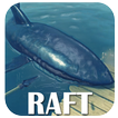 Free RAFT Survival guide