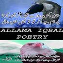 Great poet Iqbal APK