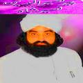 peer naseer