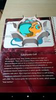 Cell Booklet تصوير الشاشة 2