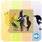 Masteran dan Pikatan Burung Paling Lengkap 2018 icon