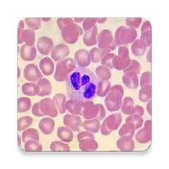 WBC Counter - leucocytes diffe APK download