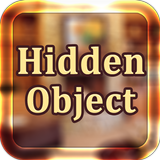 Hidden Object icône