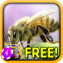3D Bumblebee Slots - Free APK
