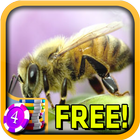 3D Bumblebee Slots - Free biểu tượng