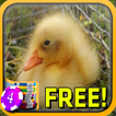 3D Baby Duck Slots - Free