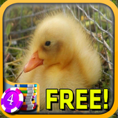 3D Baby Duck Slots - Free simgesi