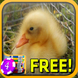 3D Baby Duck Slots - Free иконка