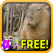 3D Capybara Slots - Free