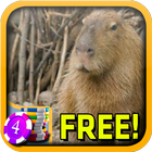 3D Capybara Slots - Free icono
