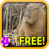 3D Capybara Slots - Free biểu tượng