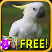 3D Cockatoo Slots - Free