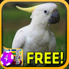 3D Cockatoo Slots - Free أيقونة