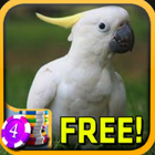 3D Cockatoo Slots - Free 图标