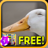 3D Happy Duck Slots - Free icône