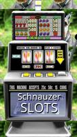 3D Schnauzer Slots - Free Affiche