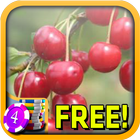 3D Sour Cherry Slots - Free icône
